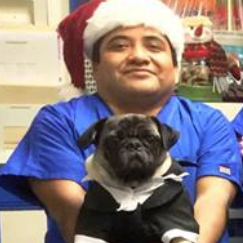 Oswualdo Flores Veterinary Assistant